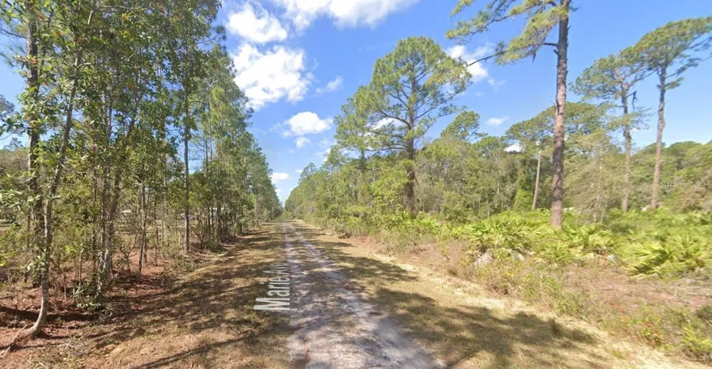 222 MARIE AVENUE Georgetown, FL 32139