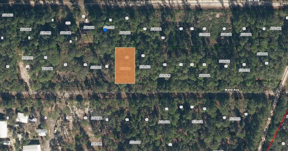 222 MARIE AVENUE Georgetown, FL 32139