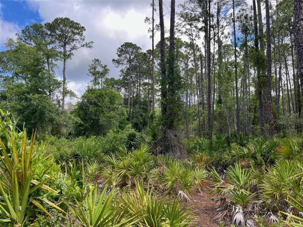 222 MARIE AVENUE Georgetown, FL 32139