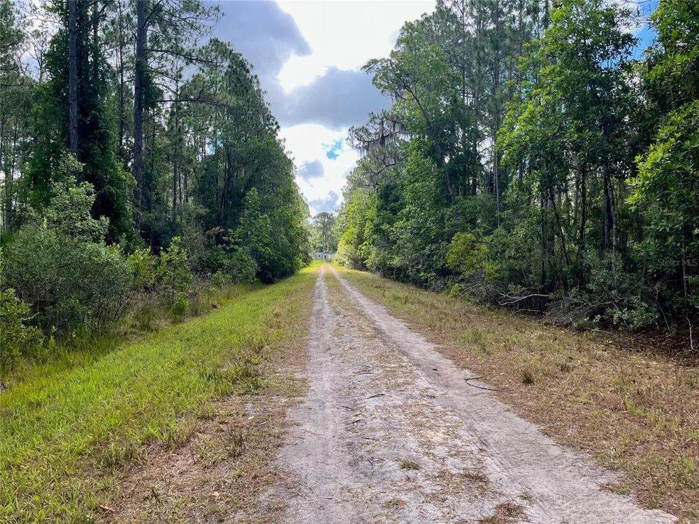222 MARIE AVENUE Georgetown, FL 32139