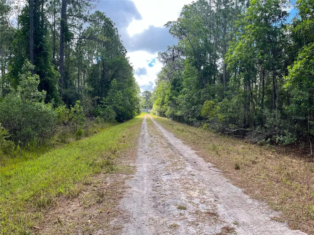 222 MARIE AVENUE Georgetown, FL 32139