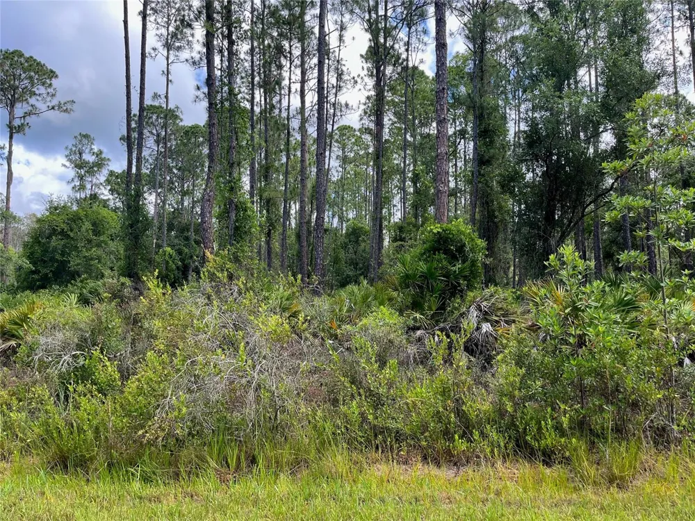 222 MARIE AVENUE Georgetown, FL 32139