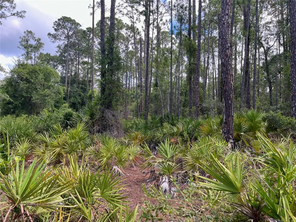 222 MARIE AVENUE Georgetown, FL 32139