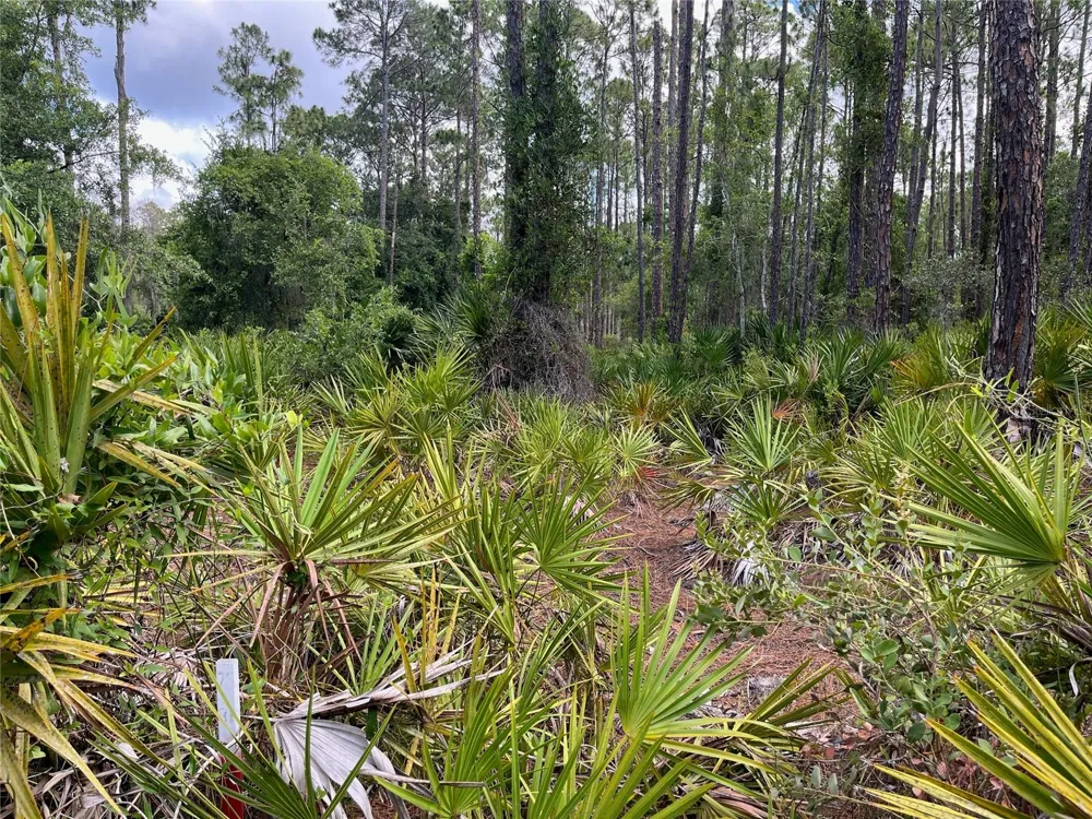 222 MARIE AVENUE Georgetown, FL 32139