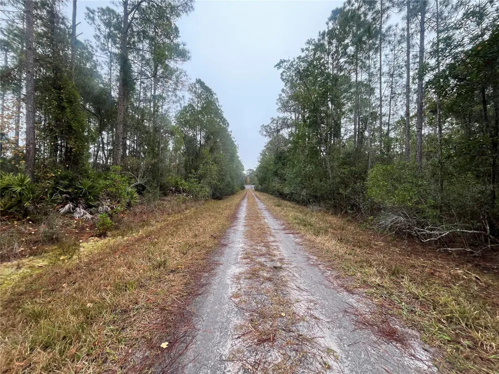 222 MARIE AVENUE Georgetown, FL 32139