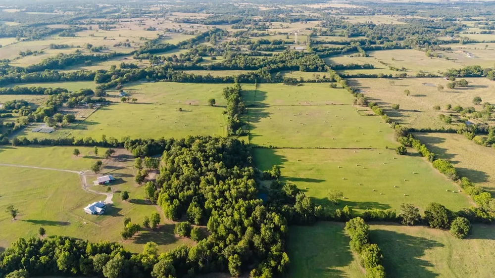 County Road 4990 Winnsboro, TX 75494