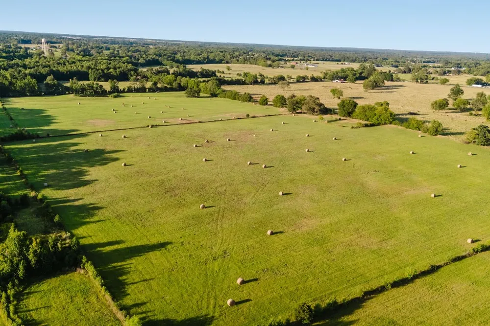 County Road 4990 Winnsboro, TX 75494