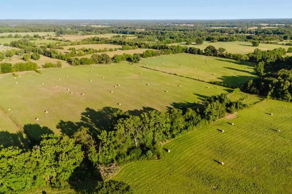 County Road 4990 Winnsboro, TX 75494