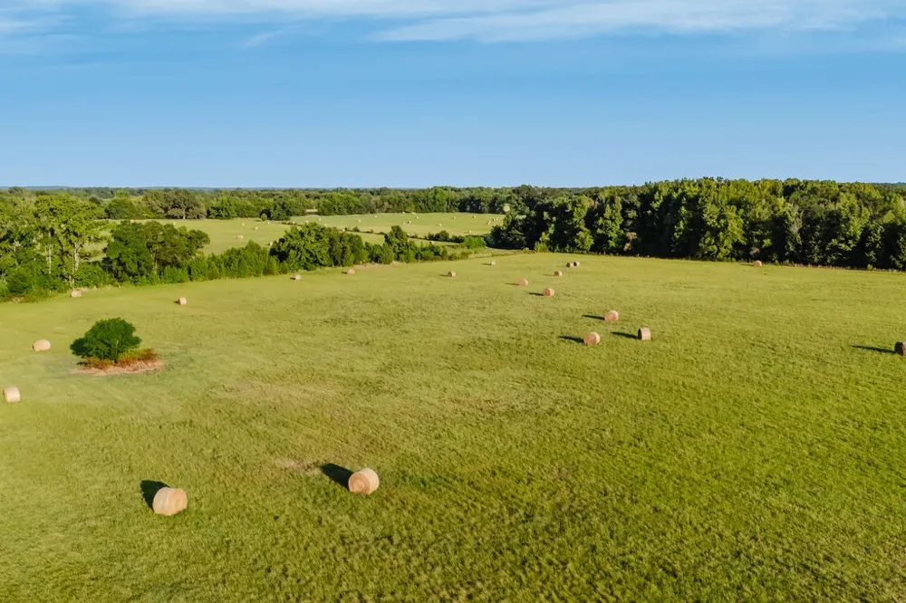 County Road 4990 Winnsboro, TX 75494