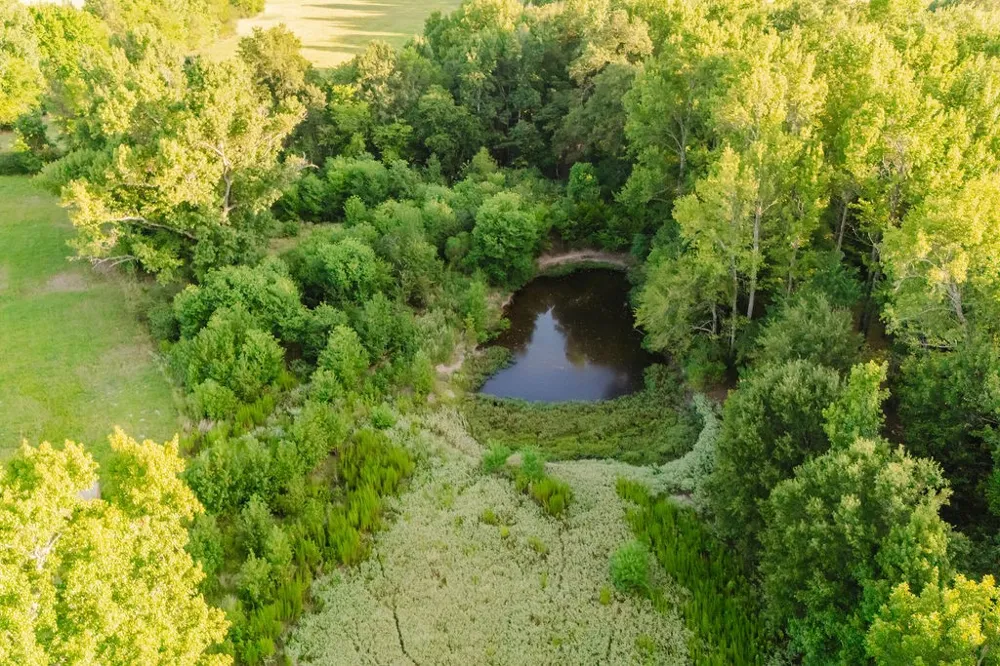 County Road 4990 Winnsboro, TX 75494