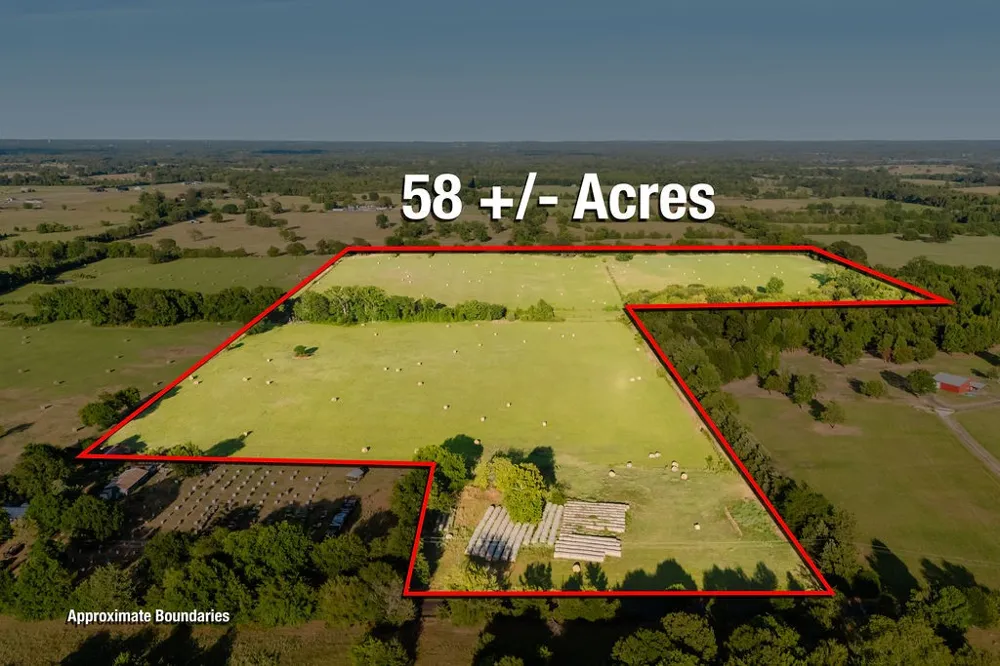 County Road 4990 Winnsboro, TX 75494