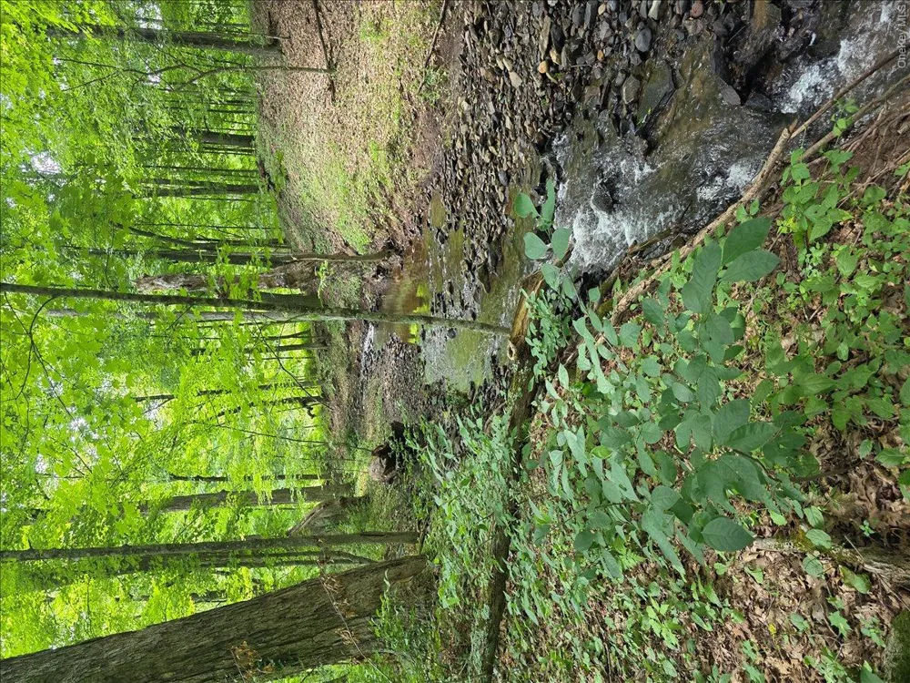 208 R McLaren Road Extension Cairo, NY 12482