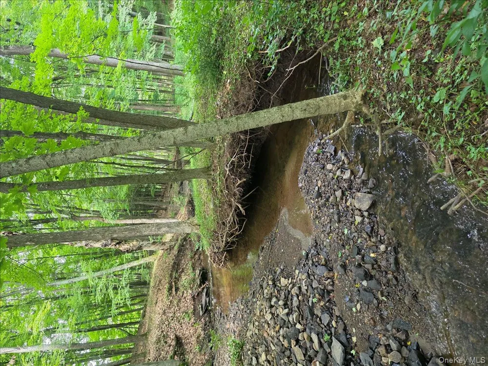 208 R McLaren Road Extension Cairo, NY 12482