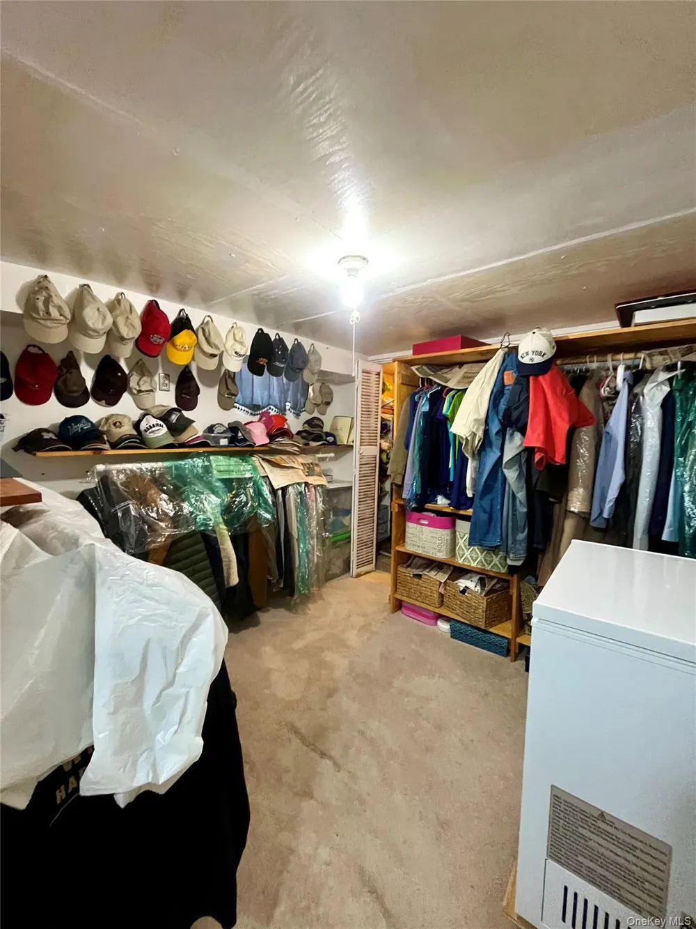 11 Rose Place Central Valley, NY 10917
