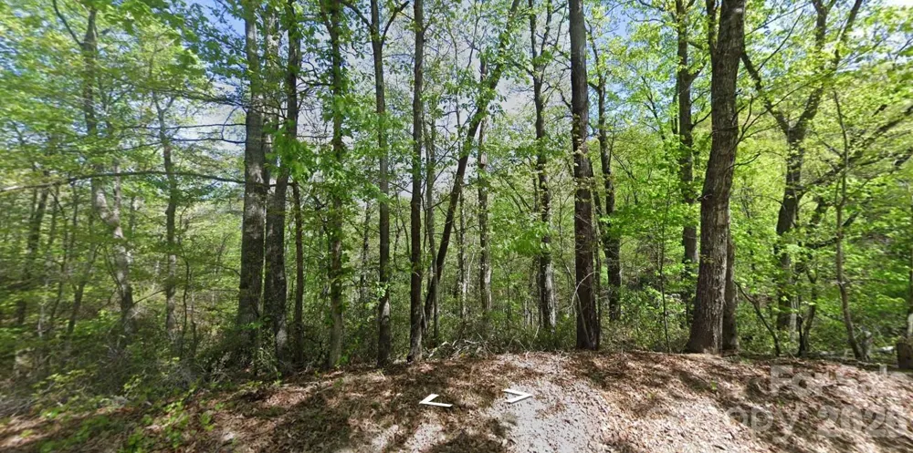 0 Buzzards Place Lake Lure, NC 28746