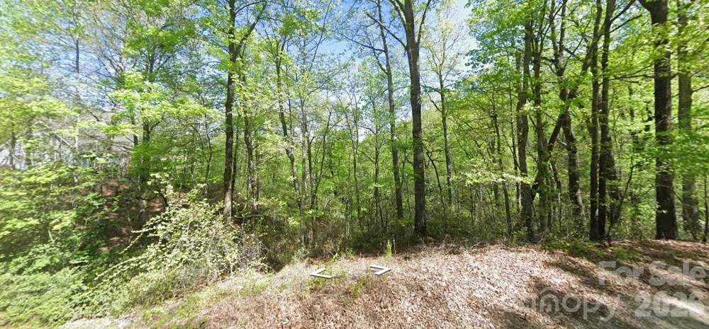 0 Buzzards Place Lake Lure, NC 28746