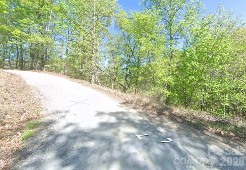 0 Buzzards Place Lake Lure, NC 28746