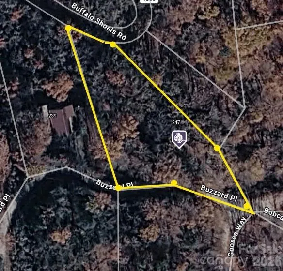 0 Buzzards Place Lake Lure, NC 28746