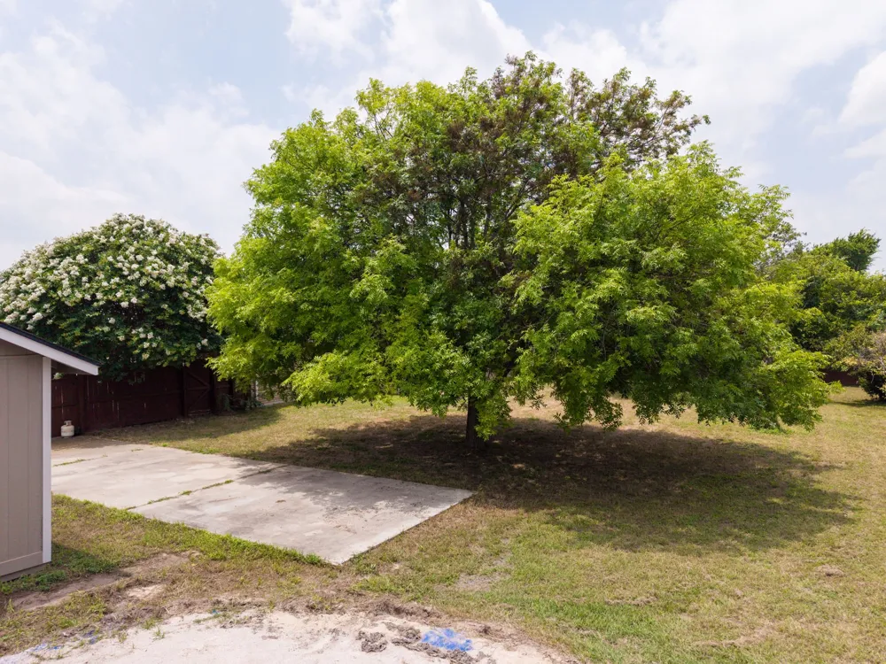 148 Sunflower Lampasas, TX 76550