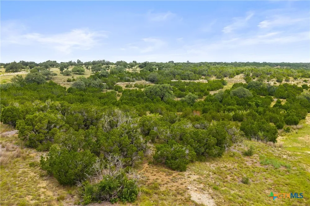 195 Lilly Belle Way Johnson City, TX 78636
