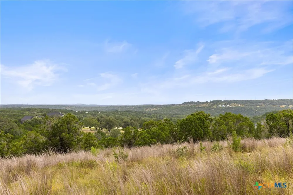 195 Lilly Belle Way Johnson City, TX 78636