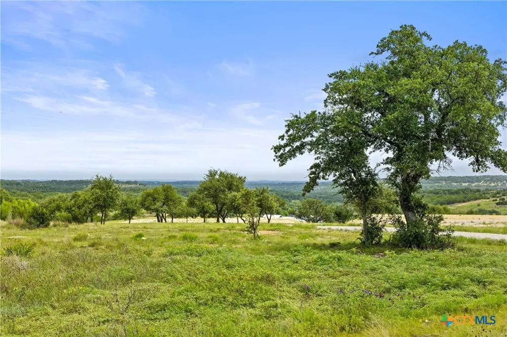 195 Lilly Belle Way Johnson City, TX 78636