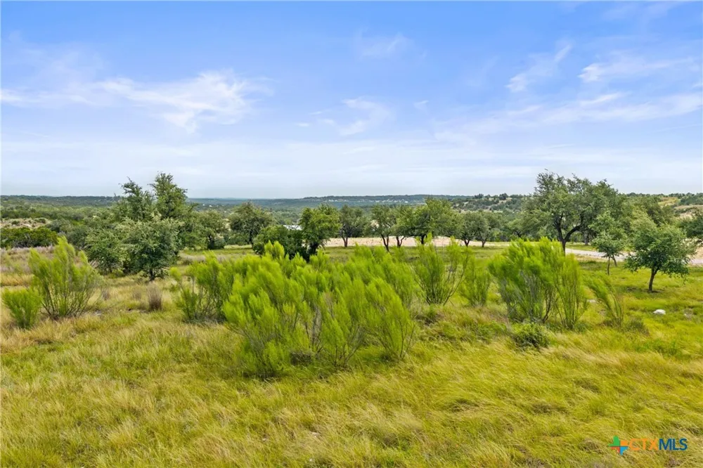 195 Lilly Belle Way Johnson City, TX 78636