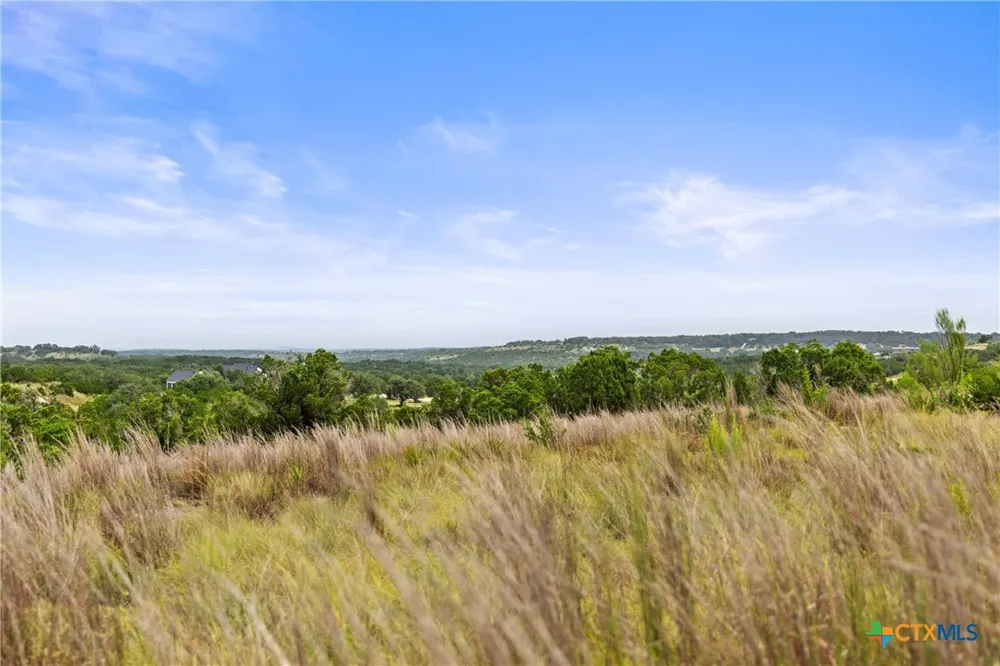 195 Lilly Belle Way Johnson City, TX 78636