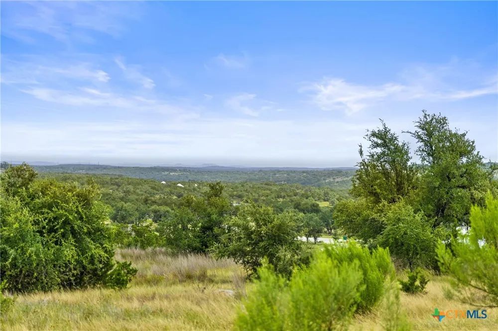 195 Lilly Belle Way Johnson City, TX 78636