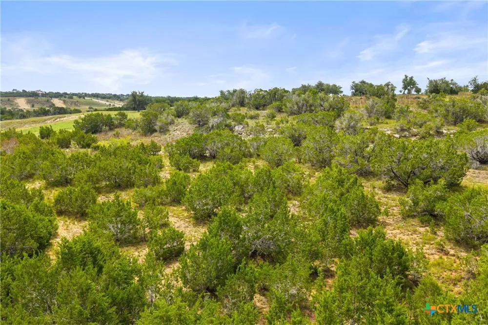 195 Lilly Belle Way Johnson City, TX 78636