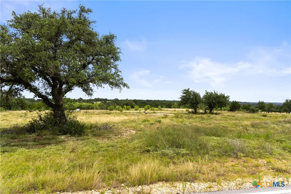 195 Lilly Belle Way Johnson City, TX 78636