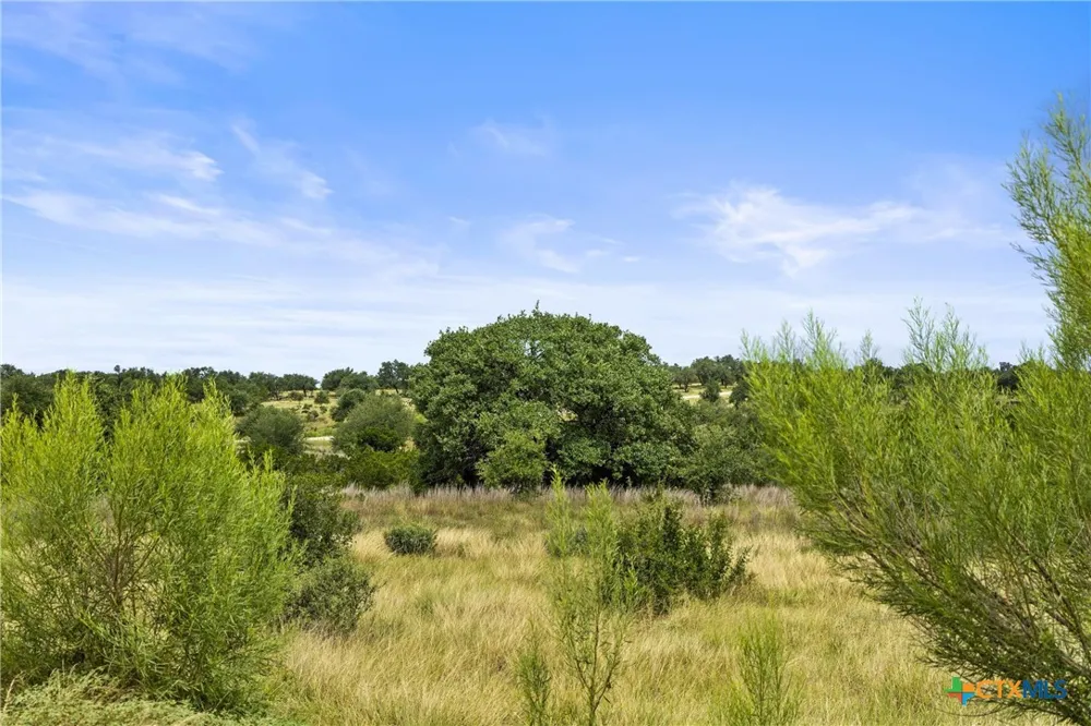 195 Lilly Belle Way Johnson City, TX 78636