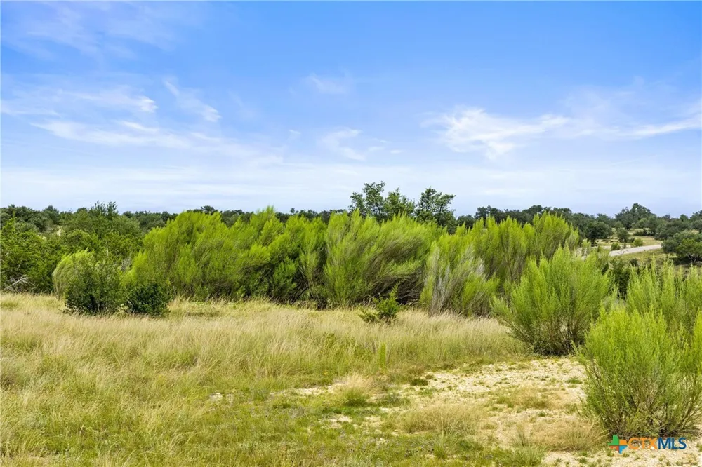 195 Lilly Belle Way Johnson City, TX 78636