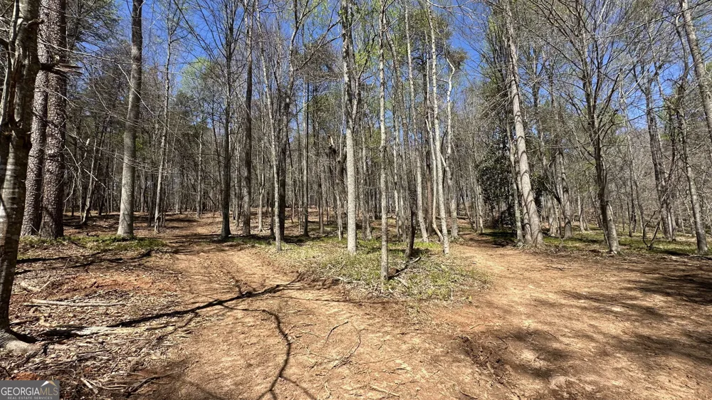 200 Annandale DR Clarkesville, GA 30523