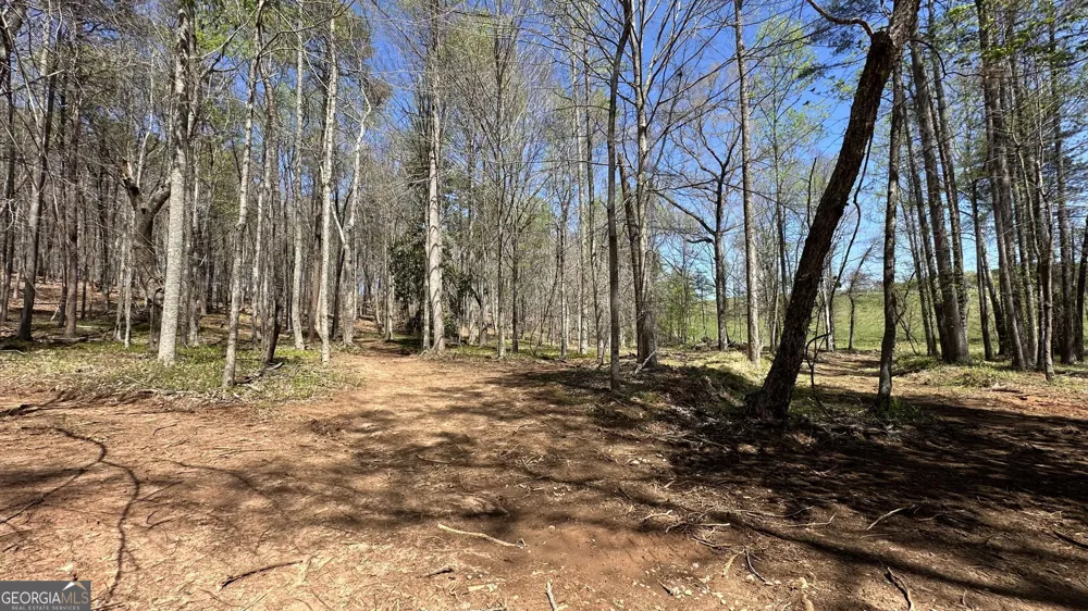 200 Annandale DR Clarkesville, GA 30523