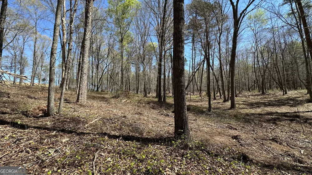 200 Annandale DR Clarkesville, GA 30523