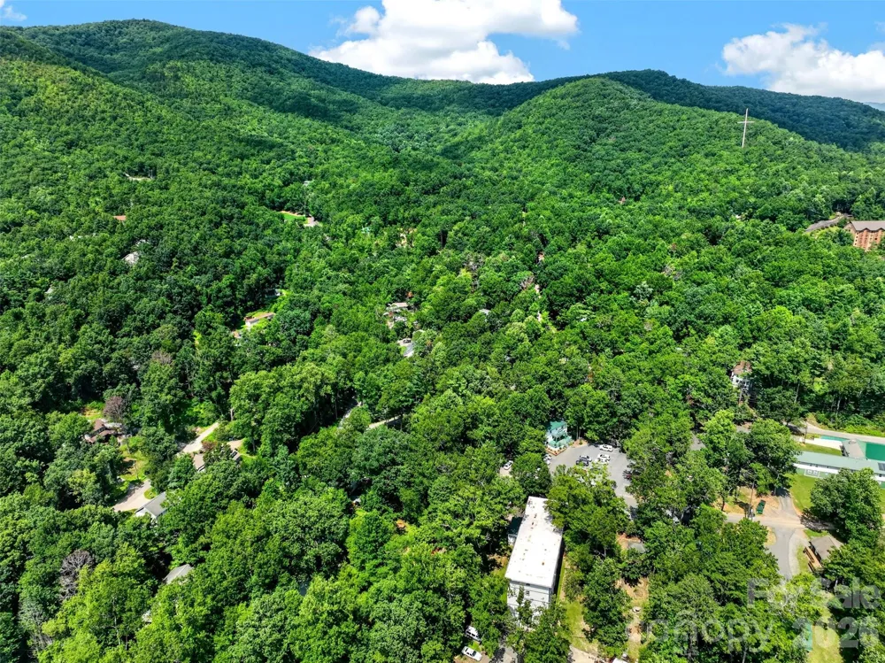 7 Bowers Road Black Mountain, NC 28711