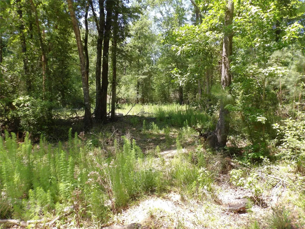 345 Cr 1080 Kennard, TX 75847