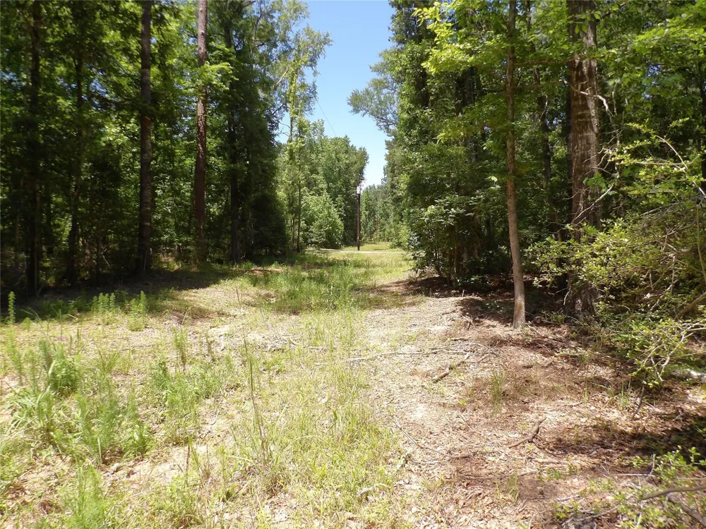 345 Cr 1080 Kennard, TX 75847