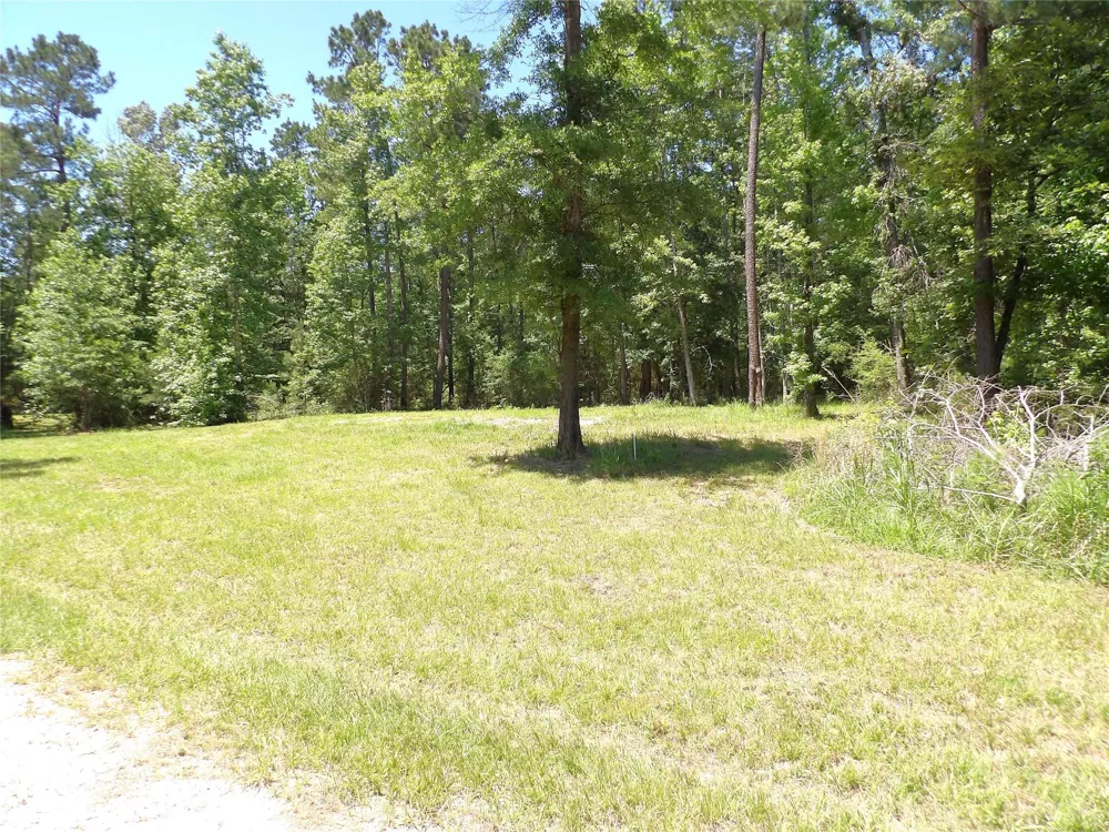 345 Cr 1080 Kennard, TX 75847