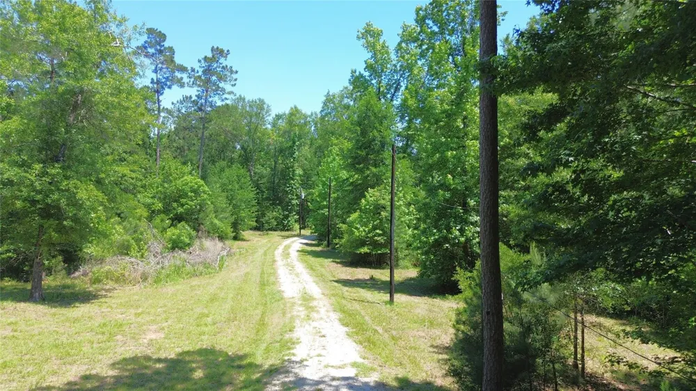 345 Cr 1080 Kennard, TX 75847