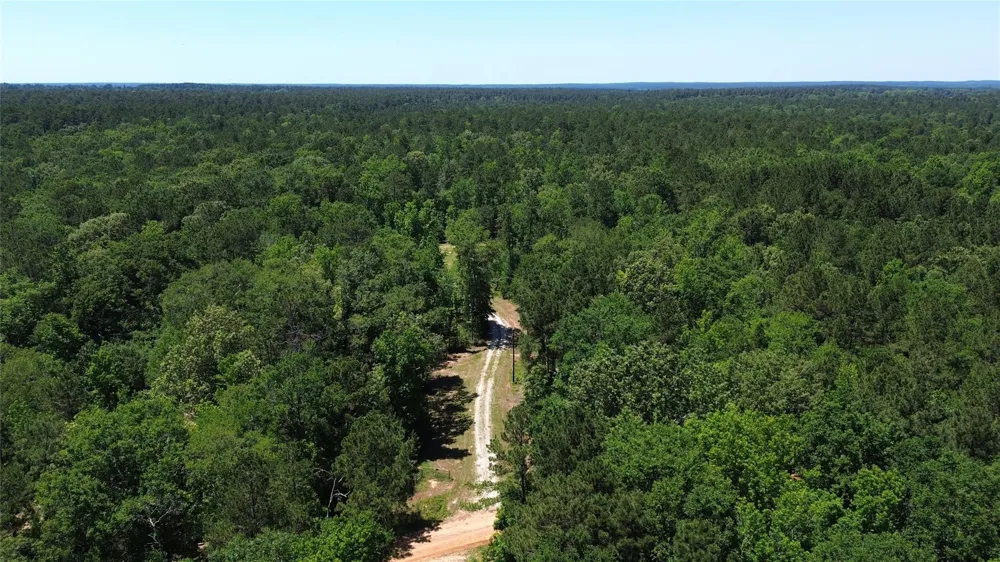 345 Cr 1080 Kennard, TX 75847