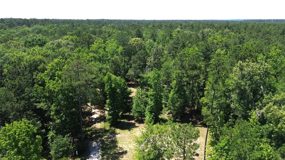 345 Cr 1080 Kennard, TX 75847