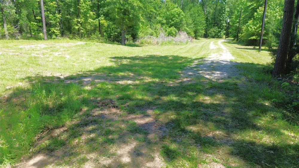 345 Cr 1080 Kennard, TX 75847