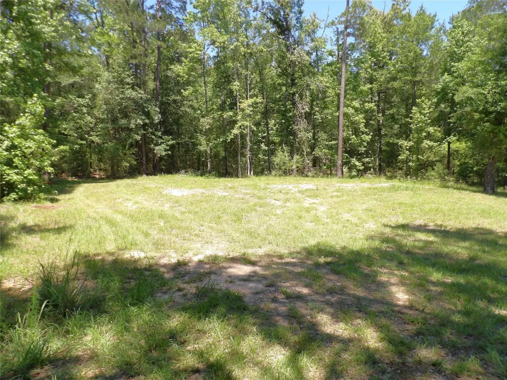 345 Cr 1080 Kennard, TX 75847