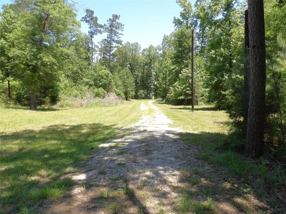 345 Cr 1080 Kennard, TX 75847