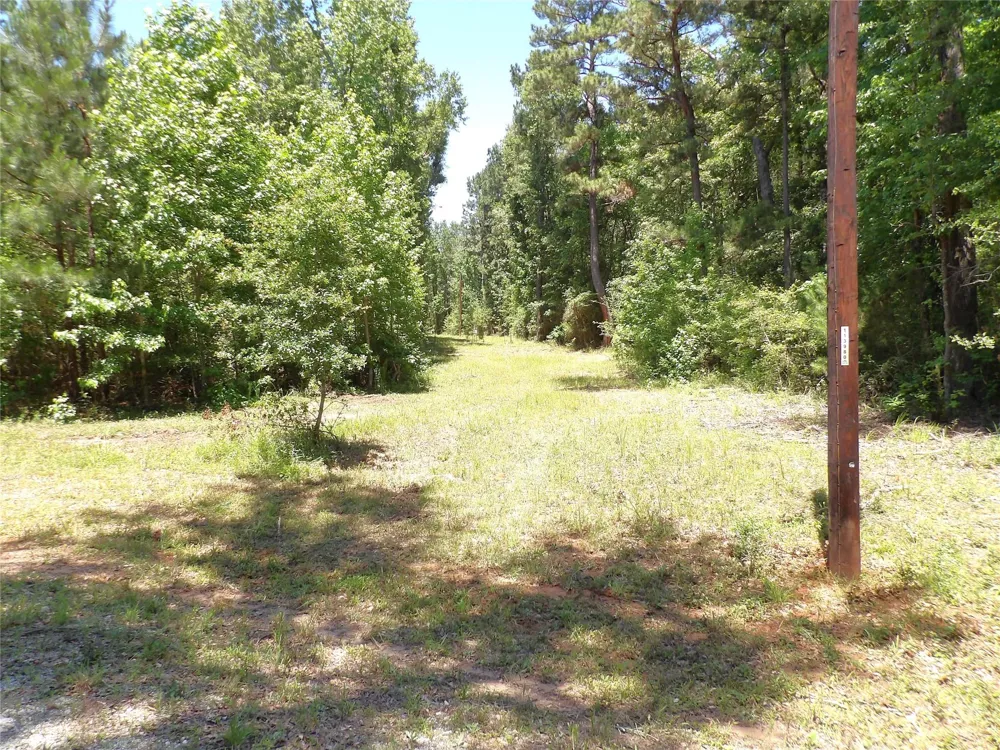 345 Cr 1080 Kennard, TX 75847