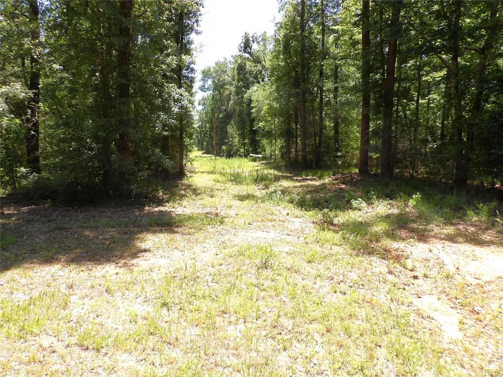 345 Cr 1080 Kennard, TX 75847