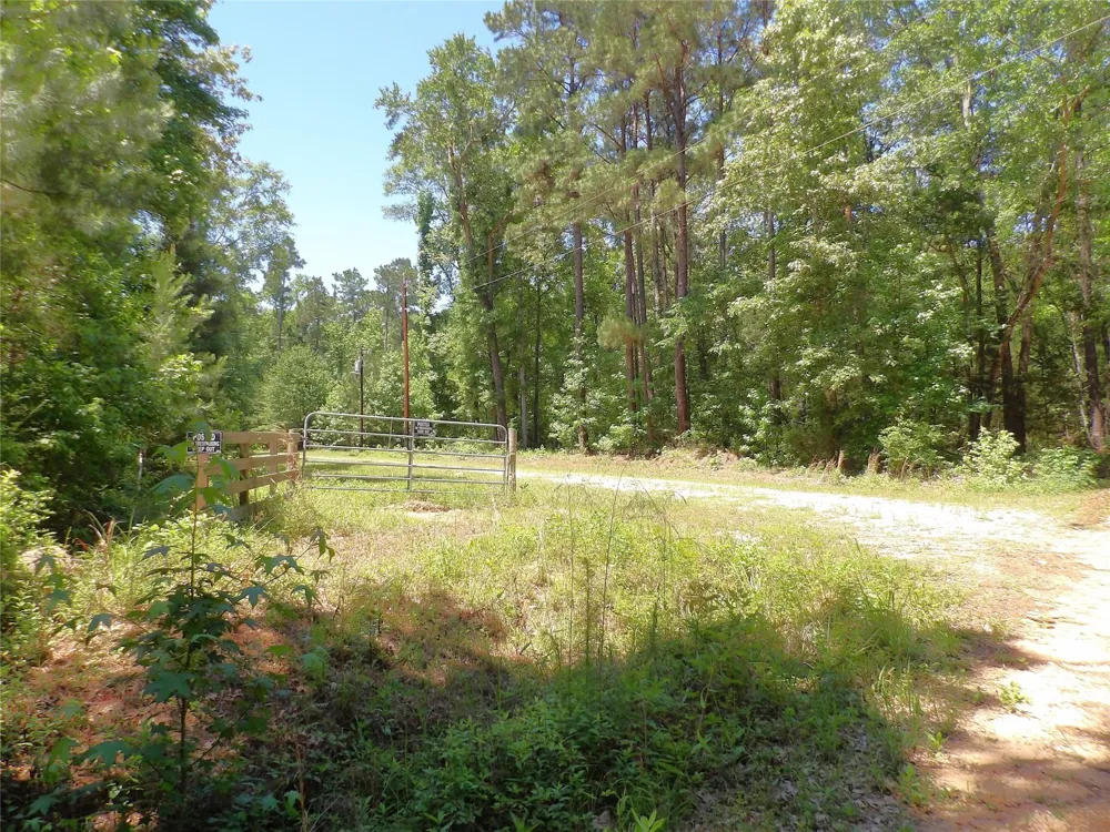 345 Cr 1080 Kennard, TX 75847