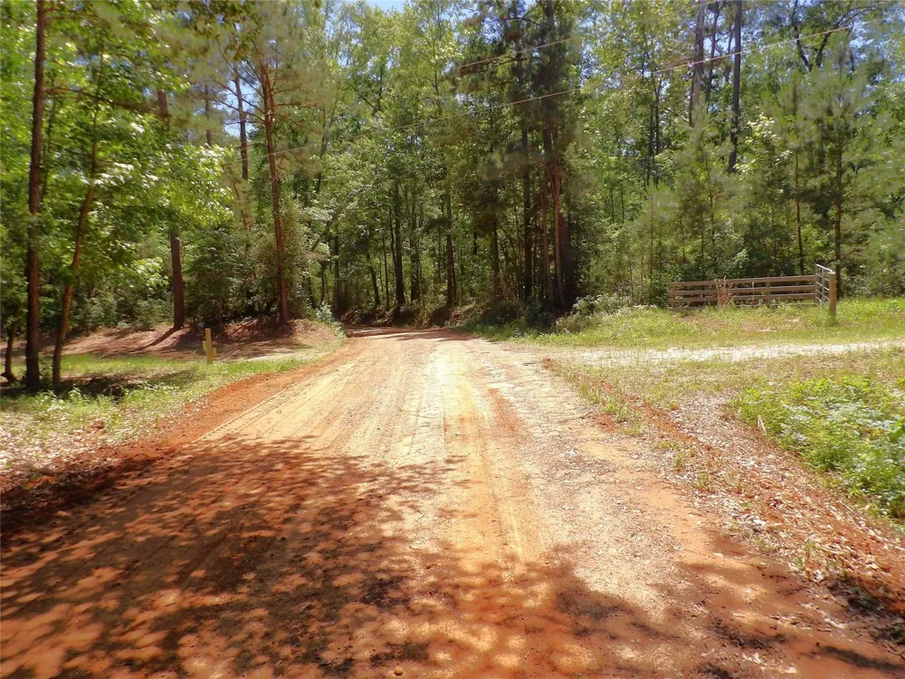 345 Cr 1080 Kennard, TX 75847